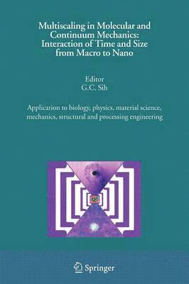 bokomslag Multiscaling in Molecular and Continuum Mechanics: Interaction of Time and Size from Macro to Nano