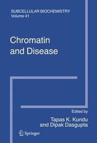bokomslag Chromatin and Disease