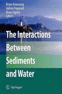 bokomslag The Interactions Between Sediments and Water