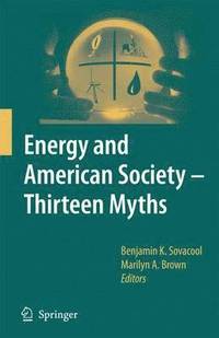 bokomslag Energy and American Society  Thirteen Myths