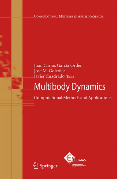 bokomslag Multibody Dynamics