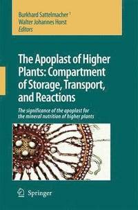 bokomslag The Apoplast of Higher Plants: Compartment of Storage, Transport and Reactions