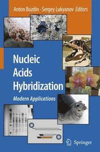 bokomslag Nucleic Acids Hybridization