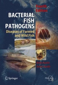 bokomslag Bacterial Fish Pathogens