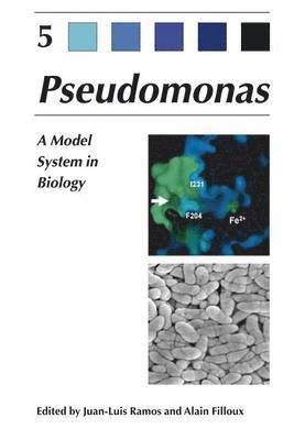 Pseudomonas 1