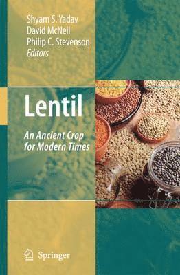 Lentil 1