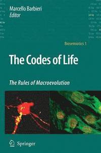 bokomslag The Codes of Life