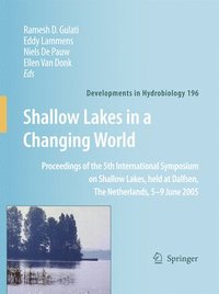 bokomslag Shallow Lakes in a Changing World