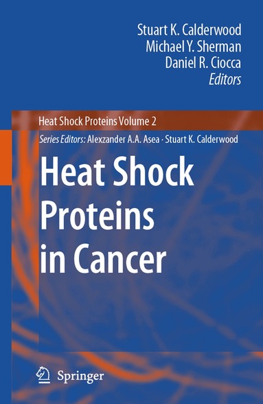 Stuart K. Calderwood, Michael Y. Sherman, Daniel R. Ciocca - Heat Shock Proteins in Cancer, Häftad