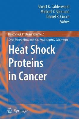 Stuart K. Calderwood, Michael Y. Sherman, Daniel R. Ciocca - Heat Shock Proteins in Cancer, Häftad