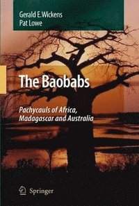 bokomslag The Baobabs: Pachycauls of Africa, Madagascar and Australia