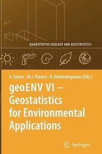 bokomslag geoENV VI  Geostatistics for Environmental Applications