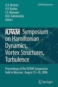 bokomslag IUTAM Symposium on Hamiltonian Dynamics, Vortex Structures, Turbulence