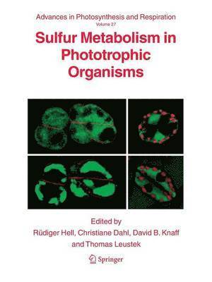 bokomslag Sulfur Metabolism in Phototrophic Organisms