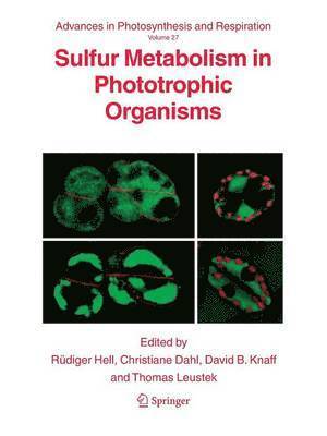 Sulfur Metabolism in Phototrophic Organisms