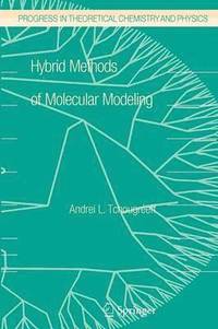 bokomslag Hybrid Methods of Molecular Modeling
