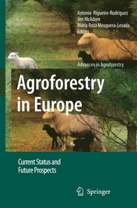 bokomslag Agroforestry in Europe