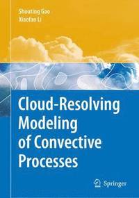 bokomslag Cloud-Resolving Modeling of Convective Processes