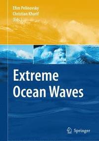 bokomslag Extreme Ocean Waves