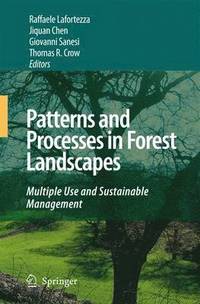 bokomslag Patterns and Processes in Forest Landscapes