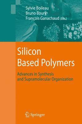 bokomslag Silicon Based Polymers