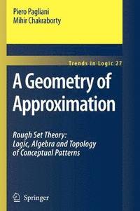 bokomslag A Geometry of Approximation