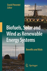 bokomslag Biofuels, Solar and Wind as Renewable Energy Systems