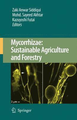 Mycorrhizae: Sustainable Agriculture and Forestry 1