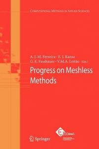 bokomslag Progress on Meshless Methods