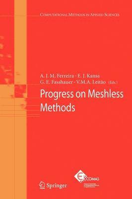 Progress on Meshless Methods 1