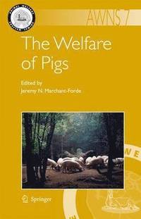 bokomslag Welfare of Pigs