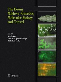 bokomslag The Downy Mildews - Genetics, Molecular Biology and Control