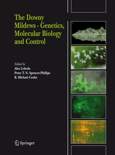 Aleš Lebeda, Peter T. N. Spencer-Phillips, B. Michael Cooke - Downy Mildews - Genetics, Molecular Biology and Control, Häftad
