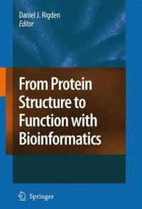 bokomslag From Protein Structure to Function with Bioinformatics