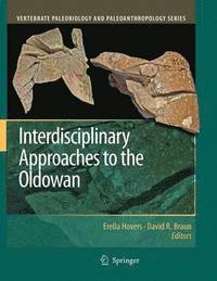 bokomslag Interdisciplinary Approaches to the Oldowan