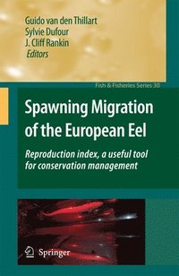 bokomslag Spawning Migration of the European Eel