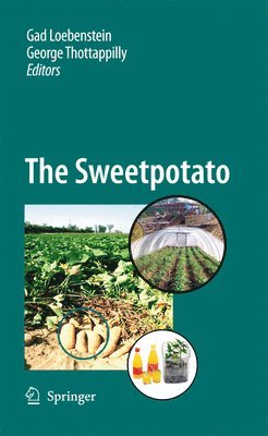 bokomslag Sweetpotato