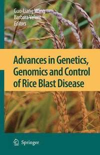 bokomslag Advances in Genetics, Genomics and Control of Rice Blast Disease