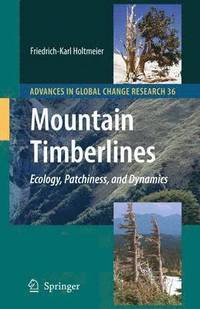 bokomslag Mountain Timberlines