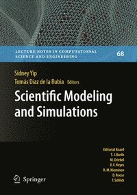 bokomslag Scientific Modeling and Simulations