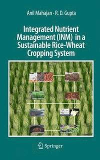 bokomslag Integrated Nutrient Management (INM) in a Sustainable Rice-Wheat Cropping System
