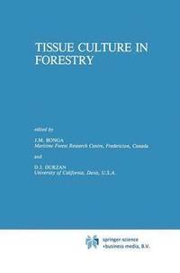 bokomslag Tissue Culture in Forestry