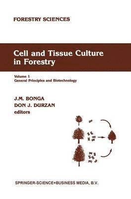 bokomslag Cell and Tissue Culture in Forestry