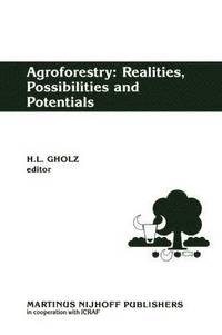 bokomslag Agroforestry: Realities, Possibilities and Potentials