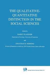 bokomslag The Qualitative-Quantitative Distinction in the Social Sciences