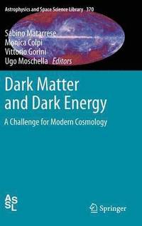 bokomslag Dark Matter and Dark Energy
