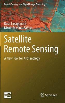 bokomslag Satellite Remote Sensing