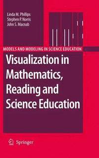 bokomslag Visualization in Mathematics, Reading and Science Education