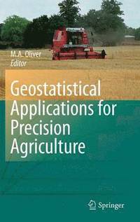 bokomslag Geostatistical Applications for Precision Agriculture