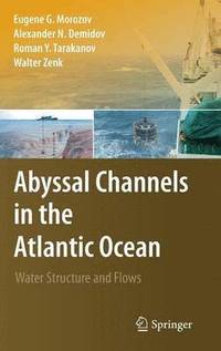 bokomslag Abyssal Channels in the Atlantic Ocean